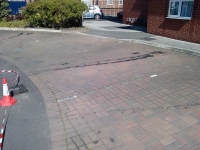 P1116_20-04-10.jpg