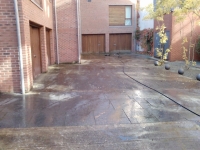 P1259_04-10-10.jpg