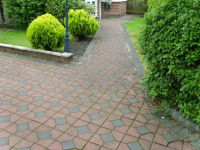 S8301313.JPG