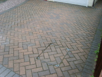 S8301314.JPG