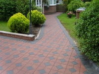 S8301319.JPG