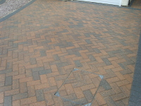 S8301320.JPG