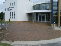 S8301496.JPG