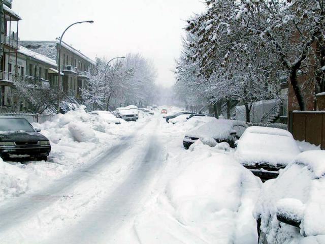 snow2.jpg